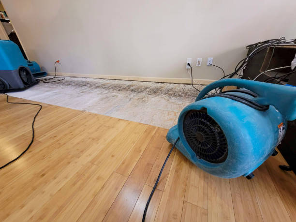 Professional Water Extraction technician working in Parker, CO